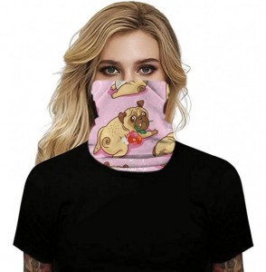 Balaclavas Women's Bandana Tube Neck Gaiter Headwear Face Scarf for Dust Wind Sun Protection - Pug - Pink - CY198GY3T4H