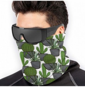 Balaclavas Neck Gaiter Headwear Face Sun Mask Magic Scarf Bandana Balaclava - Cactus Succulents - CQ197SDADZ3
