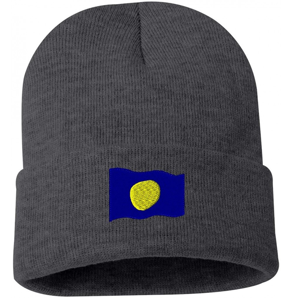 Skullies & Beanies Palau Flag Custom Personalized Embroidery Embroidered Beanie - Gray - CP12ODP5SON