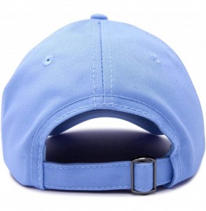 Baseball Caps Hummingbird Hat Baseball Cap Mom Nature Wildlife Birdwatcher Gift - Light Blue - CA18SN9RODM