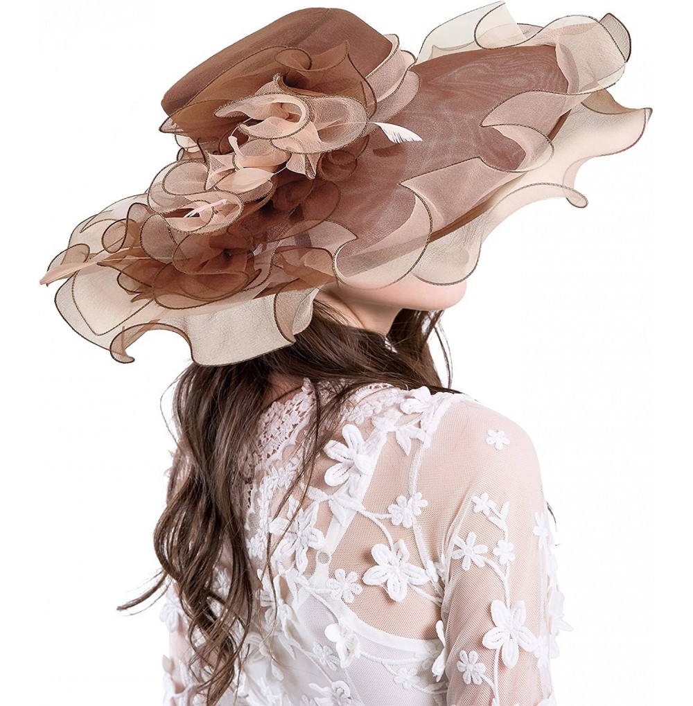 Sun Hats Church Kentucky Derby Hats for Womens Organza Fascinator British Tea Party Wedding Dress Cap Mysterious UPF 50+ - CD...